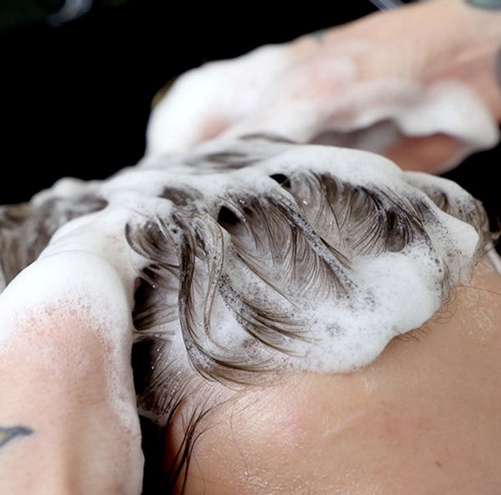 Guía Completa: Cómo Elegir el Champú y Acondicionador Ideal para tu Cabello